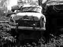 Autofriedhof - 162